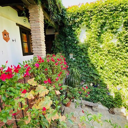 Posada La Casa Grande Химена де ла Фронтера Екстериор снимка